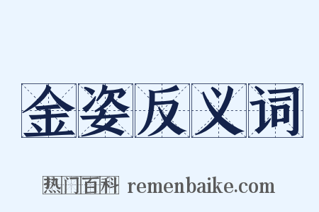 金姿反义词是什么意思的图片